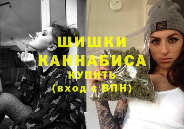 ГАЛЛЮЦИНОГЕННЫЕ ГРИБЫ Белокуриха