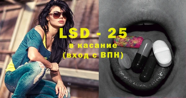 ГАЛЛЮЦИНОГЕННЫЕ ГРИБЫ Белокуриха