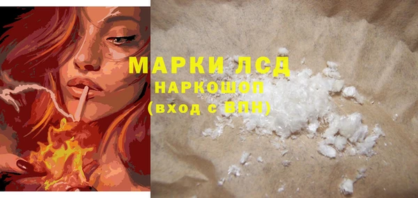 ГАЛЛЮЦИНОГЕННЫЕ ГРИБЫ Белокуриха