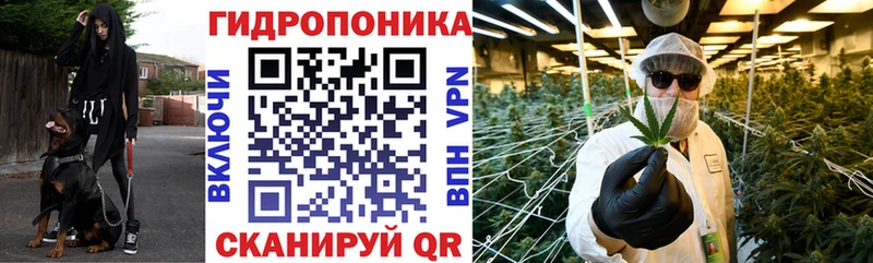 Шишки марихуана план что такое наркотик Володарск